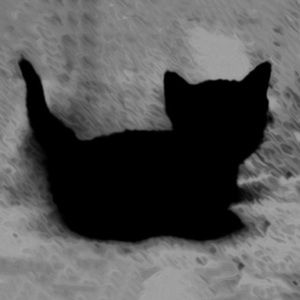 Meet your Posher, Nat